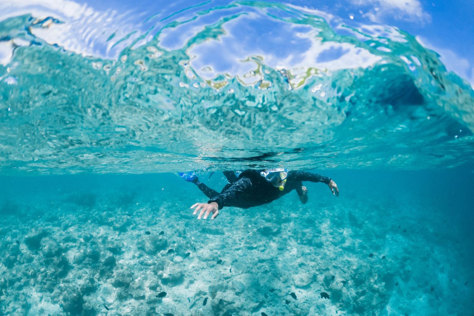 Snorkeling Trip at Tribal Kite School, Watamu, Kenya