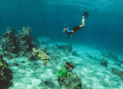 Snorkeling Lesson